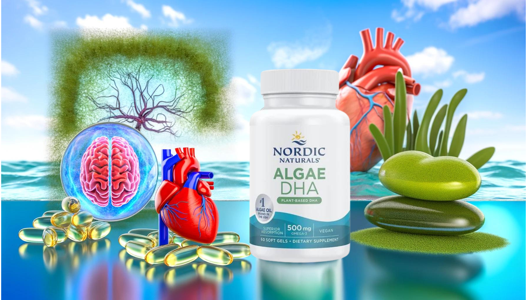 Unlocking the Power of Algae: The Comprehensive Guide to Nordic Naturals Algae DHA