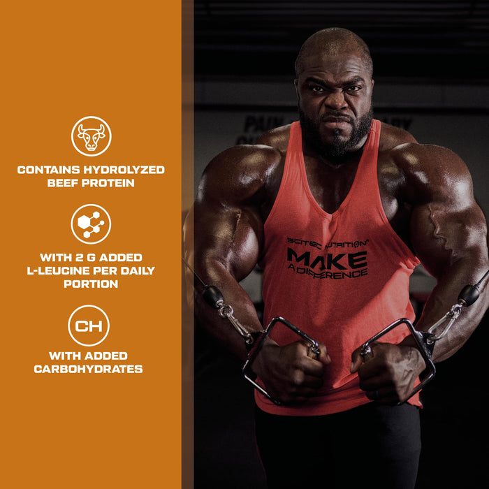 SciTec 100% Beef Muscle, Rich Chocolate Best Value Beef Proteins at MYSUPPLEMENTSHOP.co.uk