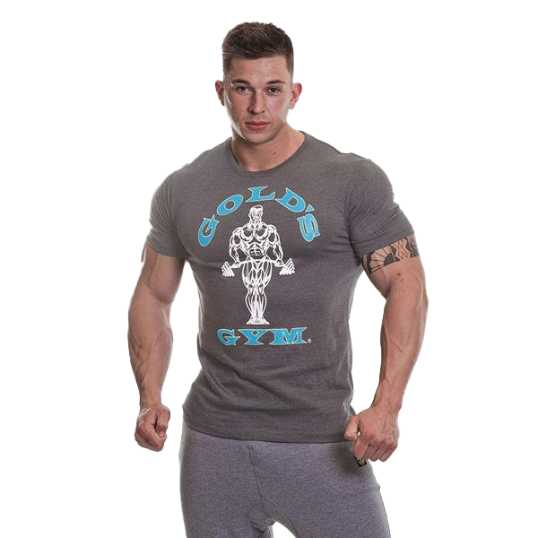 Golds Gym Muscle Joe T-Shirt - Grey/Turquoise