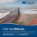 Trace Minerals Utah Sea Minerals 16 oz | Premium Supplements at MYSUPPLEMENTSHOP